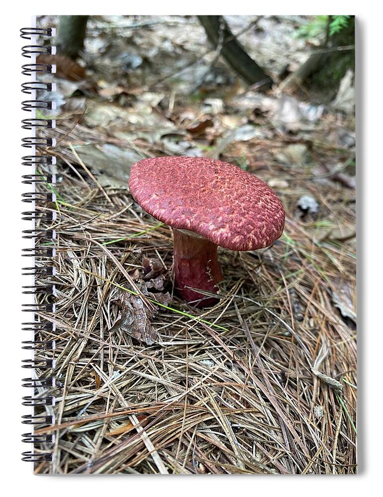 Mushroom Spiral Notebook featuring the photograph Majestic Mushrooms #53 by Anjel B Hartwell
