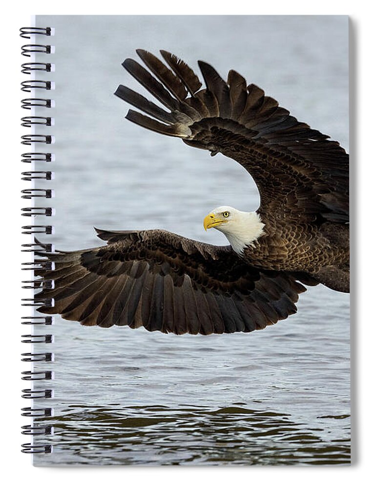 Bird Spiral Notebook featuring the photograph Majestic Power by Art Cole