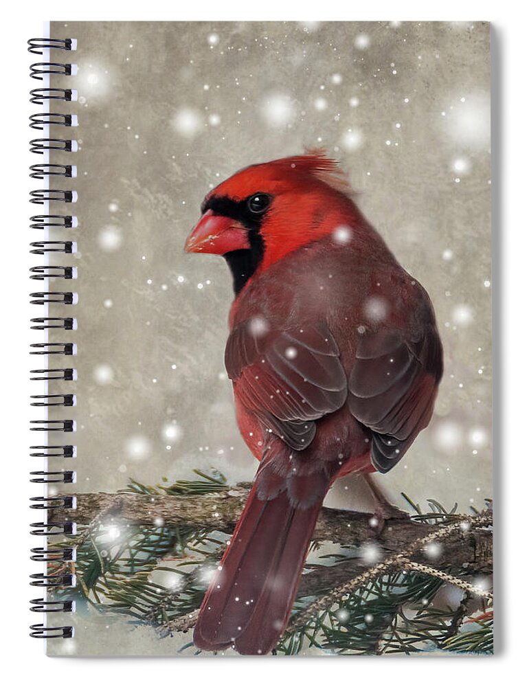 Bird Spiral Notebook featuring the photograph Male Cardinal in Snow #1 by Patti Deters