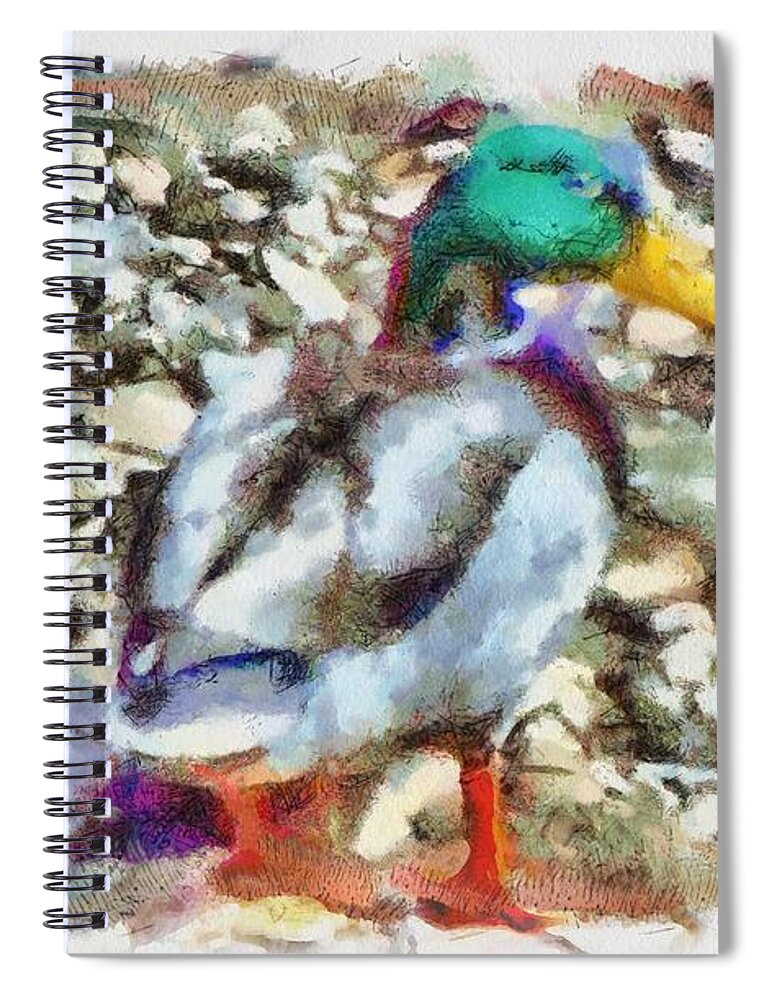 Mallard Spiral Notebook featuring the mixed media Male Mallard Duck by Christopher Reed