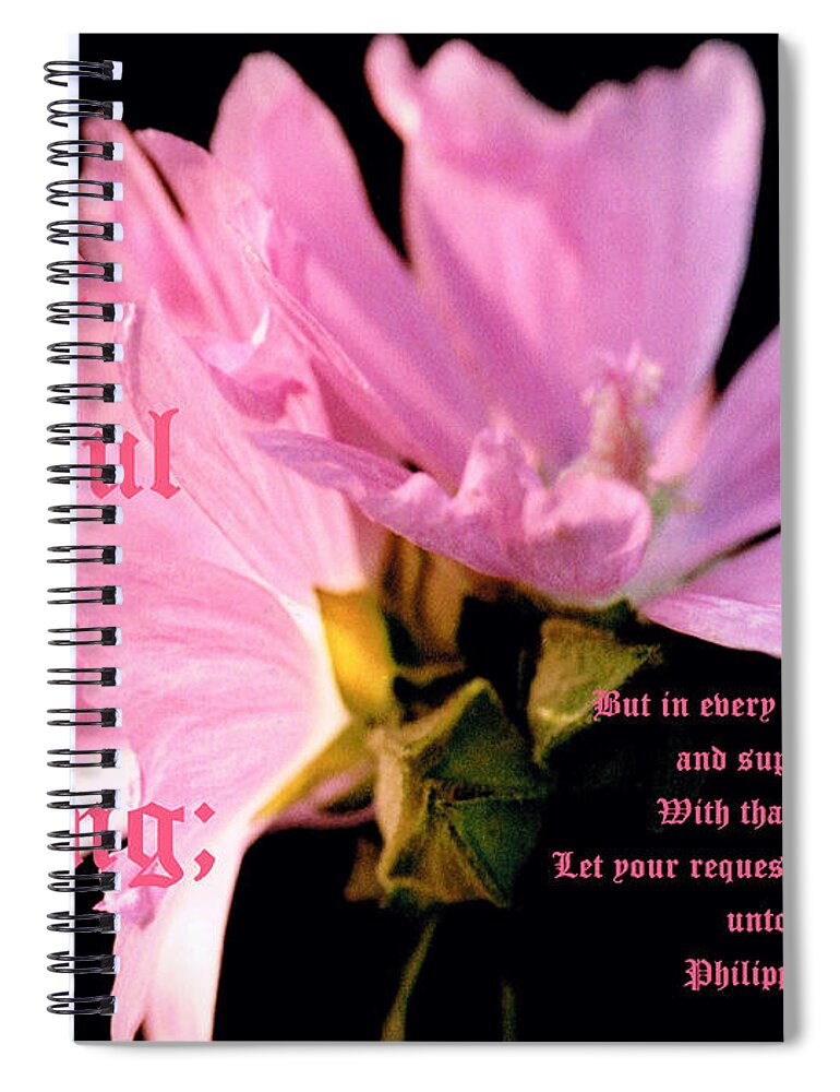 Pink Spiral Notebook featuring the photograph Mallow Bouquet Soft Blur Phil 4 vs 6 by Mike McBrayer