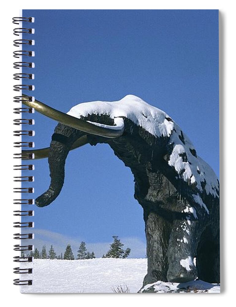 Snow Capped Spiral Notebook featuring the photograph Snow Capped Woolly - Mammoth Mountain Ski Area, Mammoth Lakes, California by Bonnie Colgan