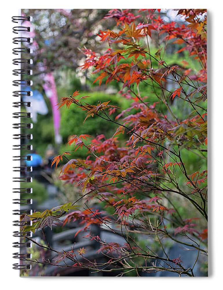 Maple Trees Spiral Notebook featuring the photograph Maple Leaves in fall by Doug Wittrock
