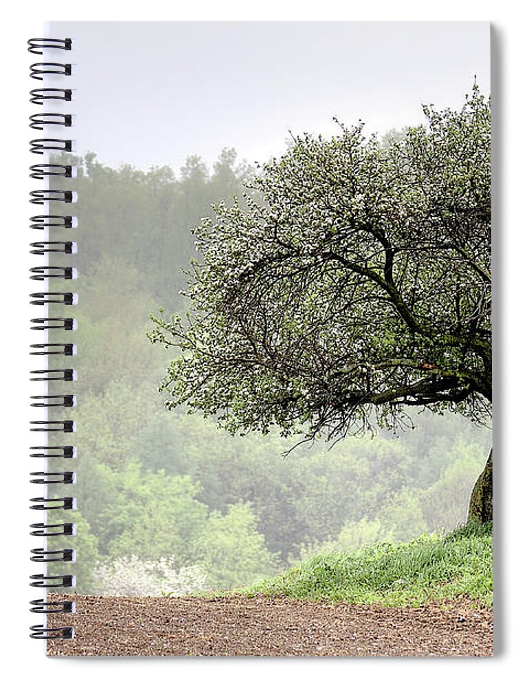 Trees Spiral Notebook featuring the photograph Marilla Tree by Don Nieman