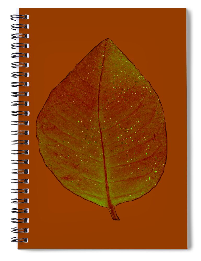 Maroon Spiral Notebook featuring the photograph Maroon Autumn Leaf for Wall Prints by Delynn Addams