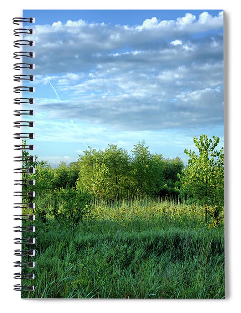 Cottonwood Spiral Notebook featuring the photograph Marsh Cottonwoods 2 by Bonfire Photography