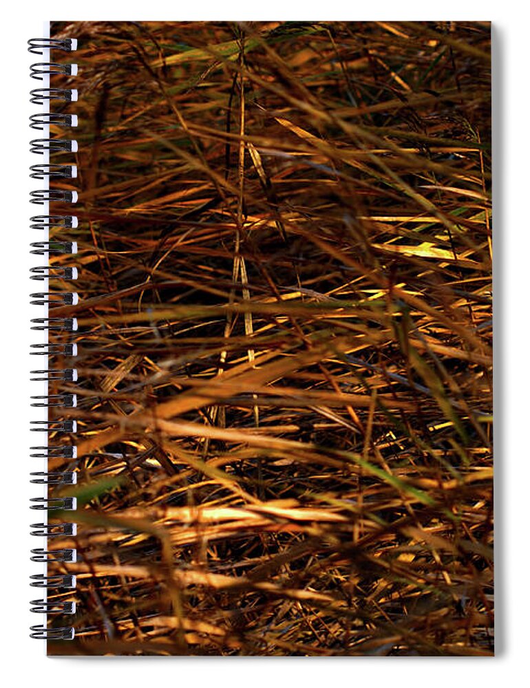 Abstract Spiral Notebook featuring the photograph Marsh Grasses in the breeze by Stephen Melia
