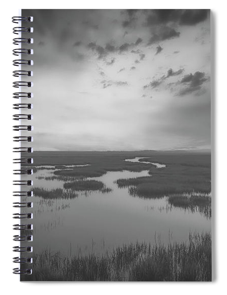 Landscapes Spiral Notebook featuring the photograph Marshes of Glynn 2 by DB Hayes