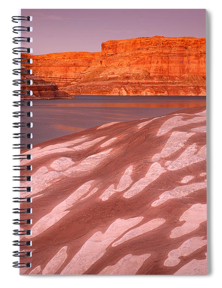 Bradley Cove Spiral Notebook featuring the photograph Marshmallow by Peter Boehringer