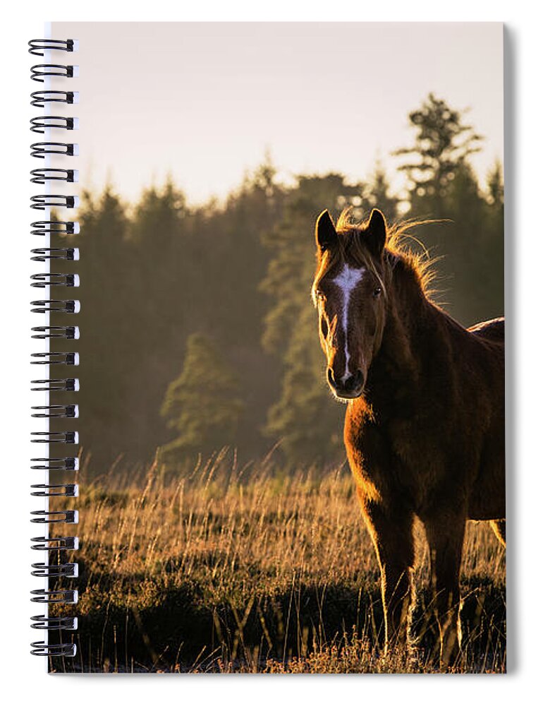 Photographs Spiral Notebook featuring the photograph Mason - Horse Art by Lisa Saint