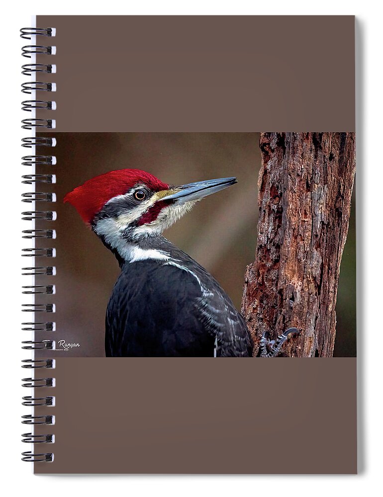 Bird Spiral Notebook featuring the photograph Master of Disaster by Peg Runyan