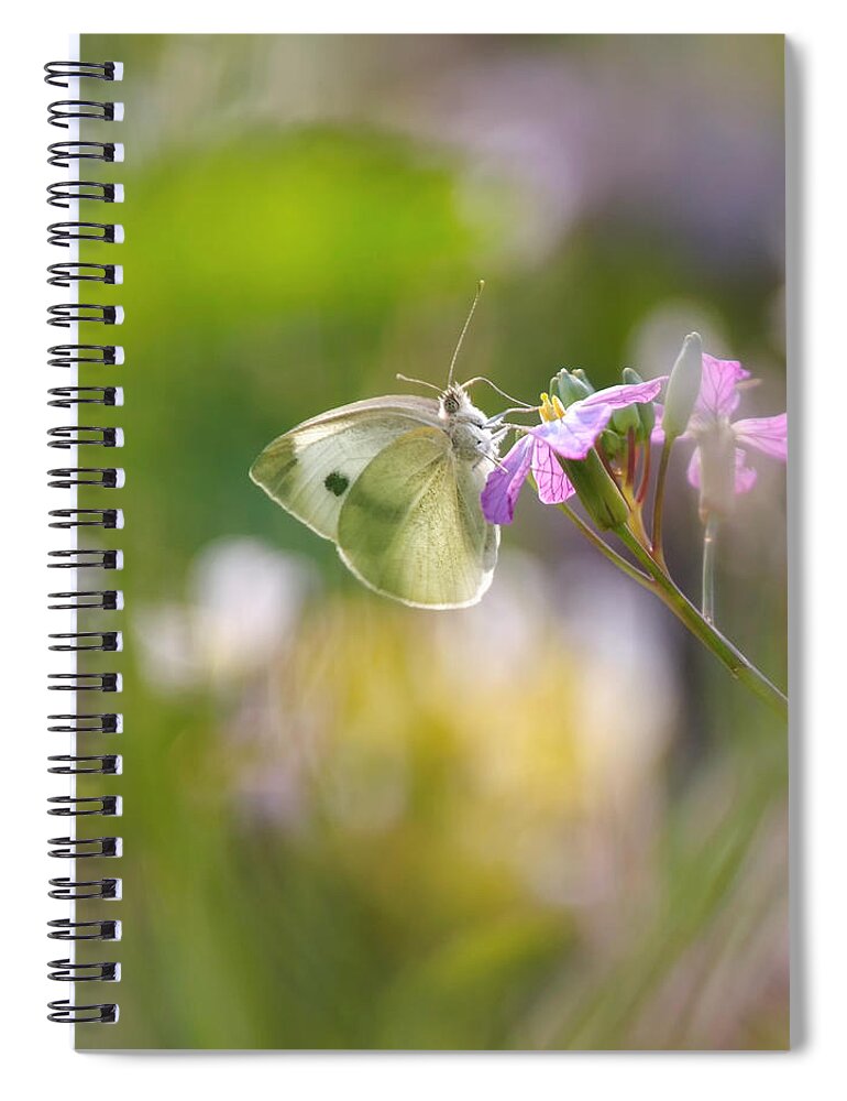 Butterfly Spiral Notebook featuring the photograph Meadow life 11 by Jaroslav Buna