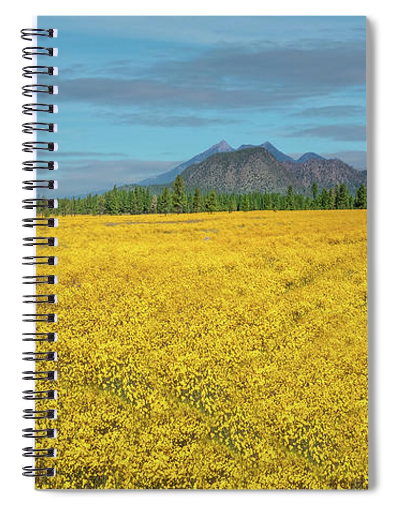 Arizona Spiral Notebook featuring the photograph Meadow of Yellow Wildflowers by Jeff Goulden