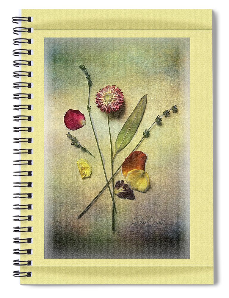 Flora Spiral Notebook featuring the photograph Memories From Summer Past by Rene Crystal