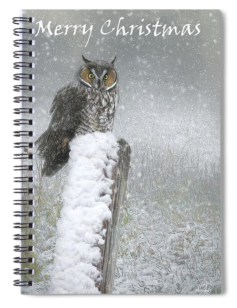 Owl Spiral Notebook featuring the photograph Merry Christmas Owl by Debra Boucher