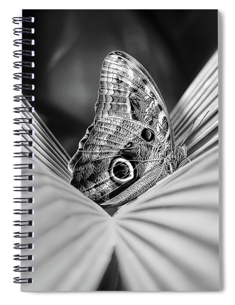 Published Spiral Notebook featuring the photograph Metamorphosis by Enrique Pelaez