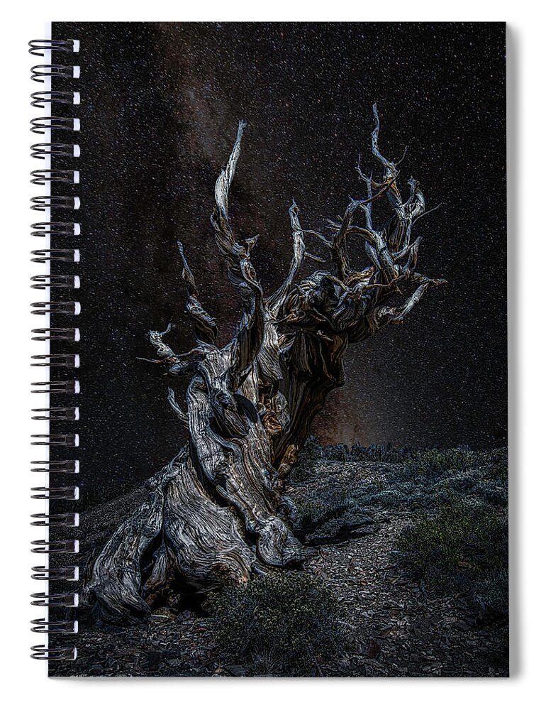 Landscape Spiral Notebook featuring the photograph Methuselah Night Sky by Romeo Victor