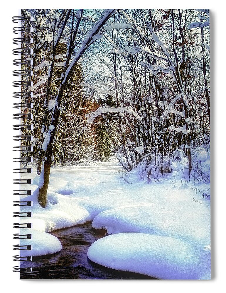 Photographs Spiral Notebook featuring the photograph Michigan Snowscene by John A Rodriguez