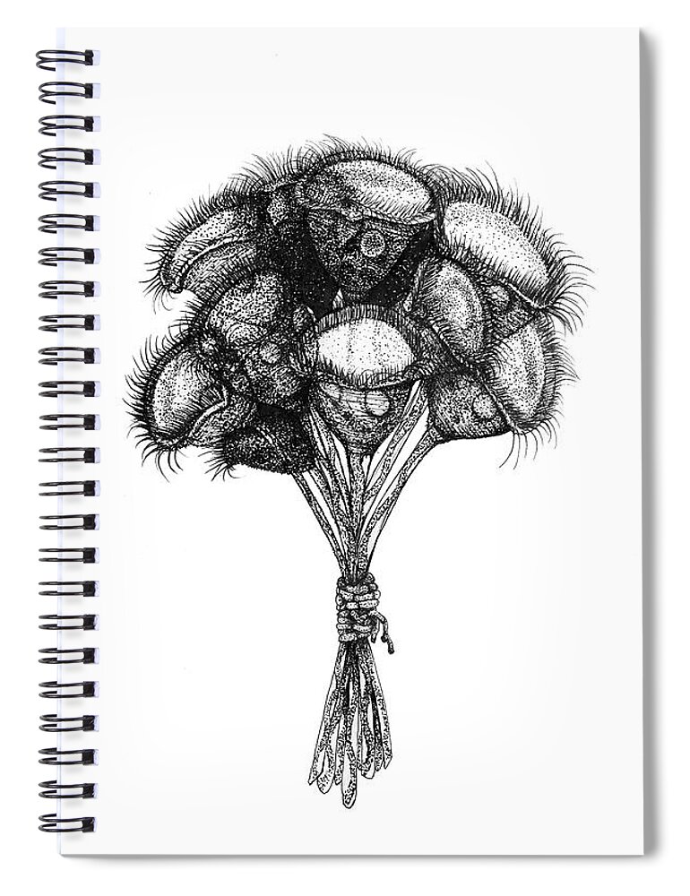 Protozoa Spiral Notebook featuring the drawing Microscopic Bouquet by Kate Solbakk