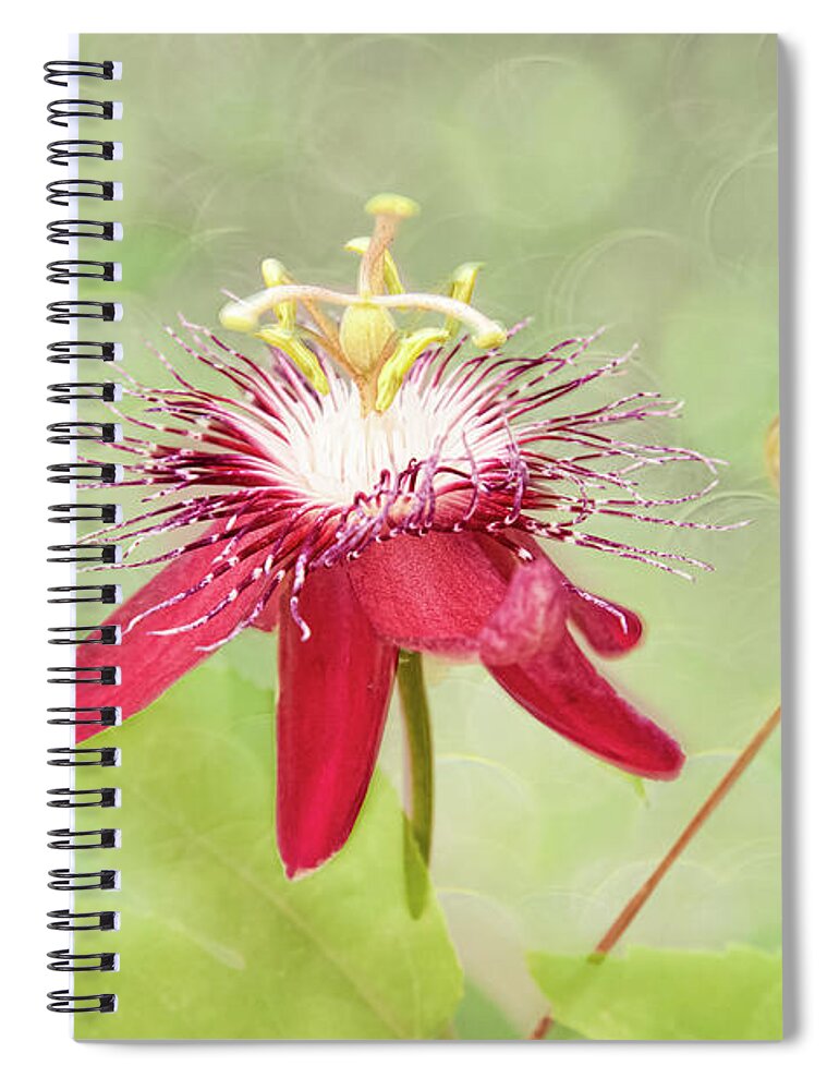 Passionflower Spiral Notebook featuring the photograph Midsummer's Delight by Marilyn Cornwell
