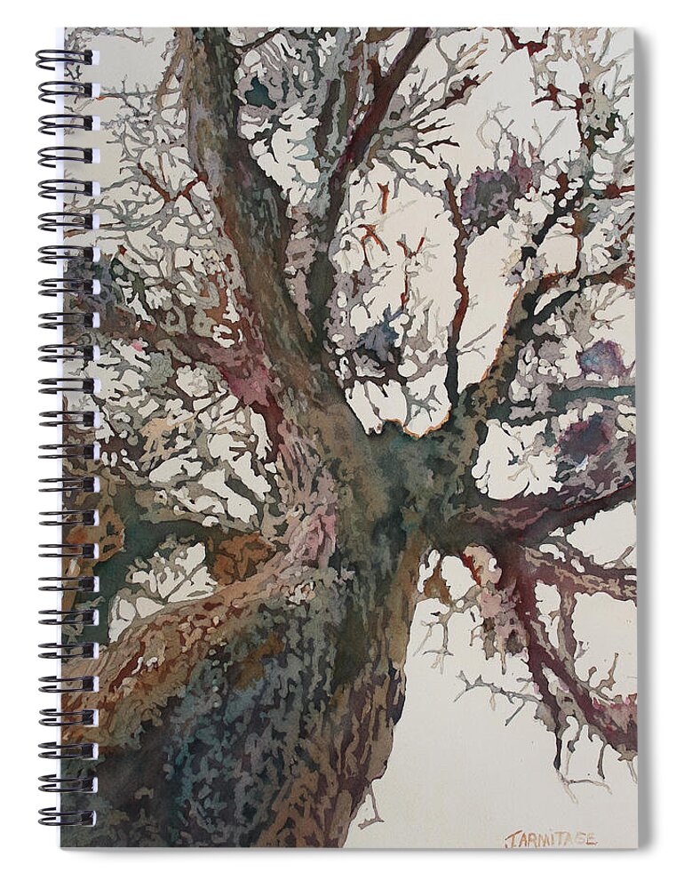 Tree Spiral Notebook featuring the painting Mighty Oak by Jenny Armitage