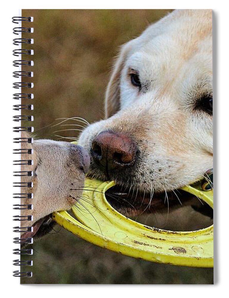 Dog Spiral Notebook featuring the photograph Mine by John Linnemeyer