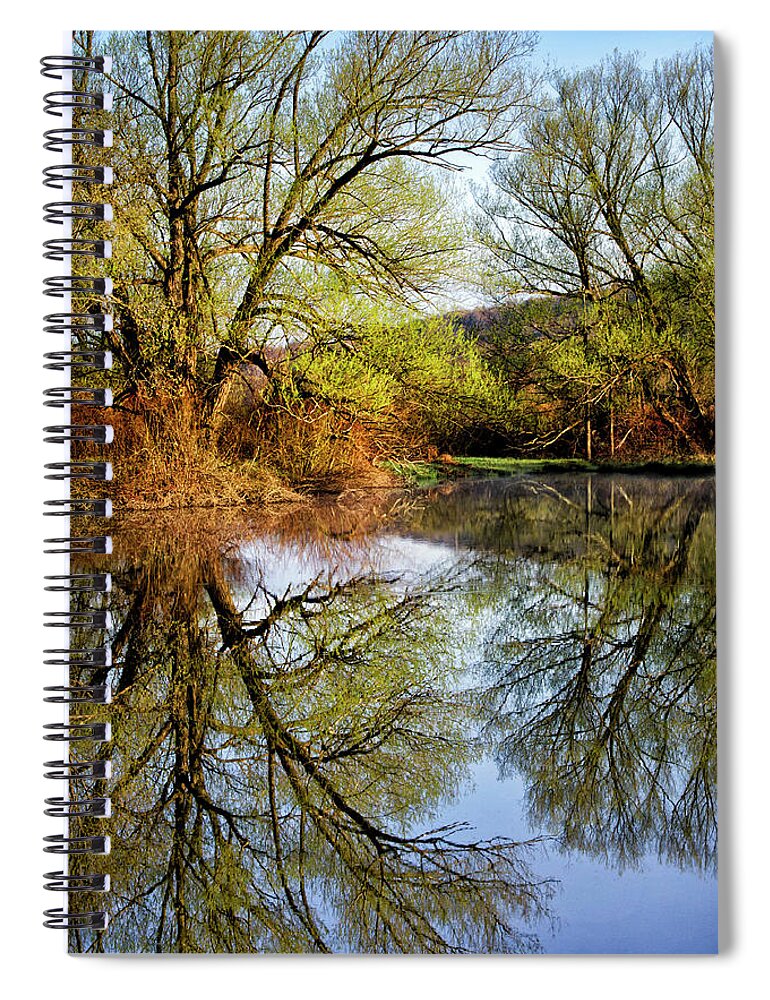 Reflection Spiral Notebook featuring the photograph Mirror Reflection by Christina Rollo