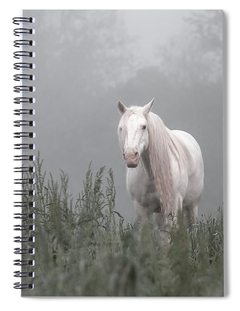 Missouri Spiral Notebook featuring the photograph Missing Shawnee by Holly Ross