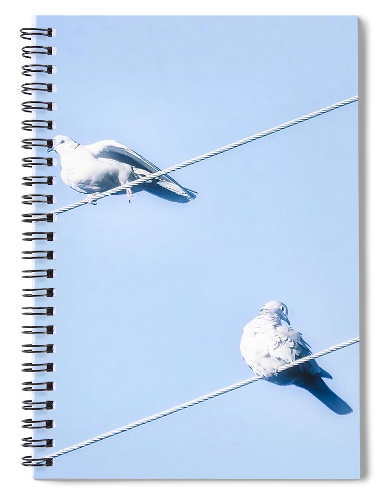 Perch Spiral Notebook featuring the photograph Misty Doves by Judy Kennedy
