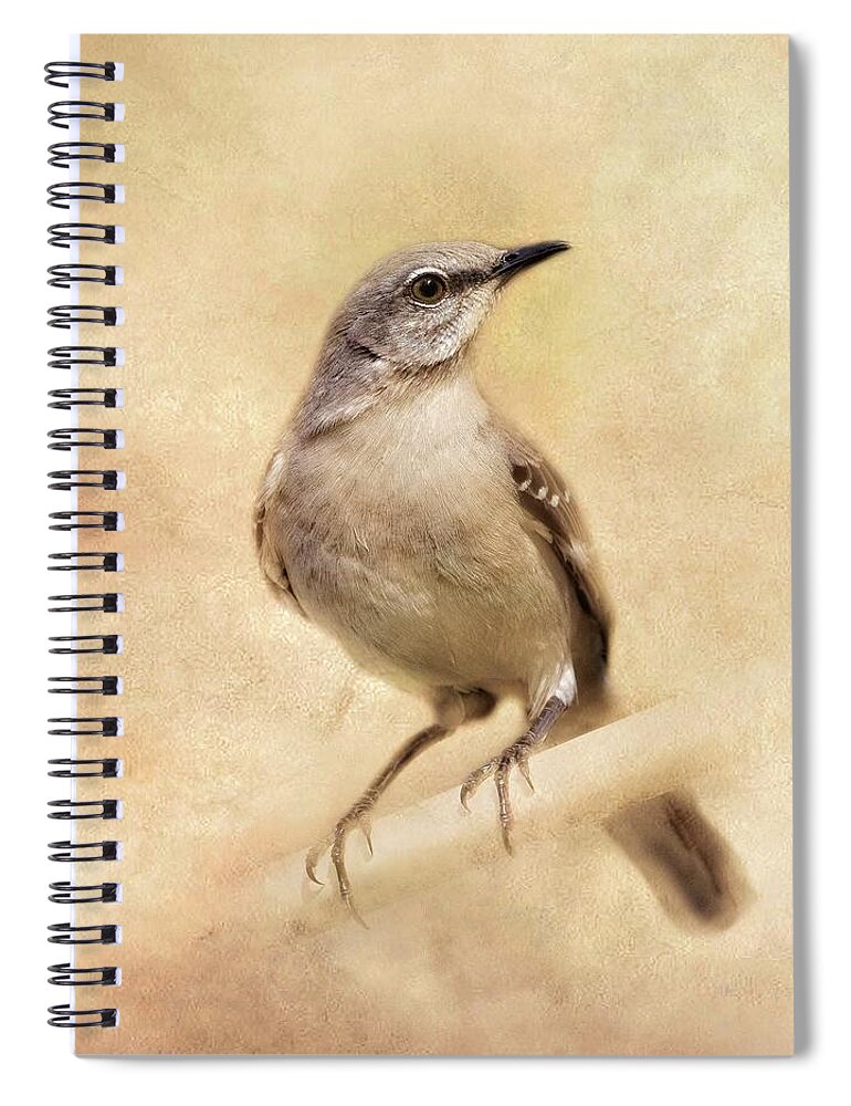 Texture Spiral Notebook featuring the photograph Mockingbird by Marjorie Whitley