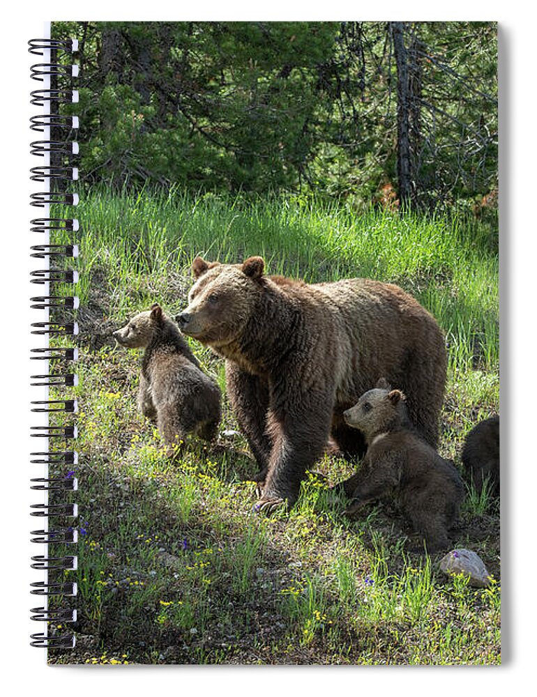 Wildlife Spiral Notebook featuring the photograph Mom and the Quads by Sandra Bronstein