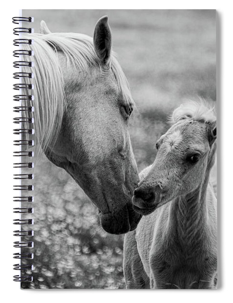 Horse Spiral Notebook featuring the photograph Momma's kisses are best by Jamie Tyler