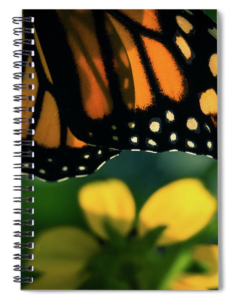 Monarch Spiral Notebook featuring the photograph Monarch Butterfly Wings by Jeanette Fellows