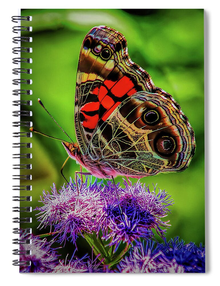 Butteryfly Spiral Notebook featuring the photograph Monarch on Flowers by Nick Zelinsky Jr
