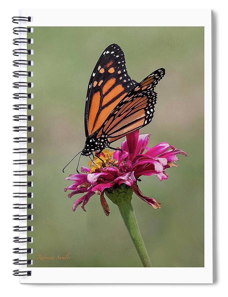 Monarch Spiral Notebook featuring the photograph Monarch by Rebecca Samler
