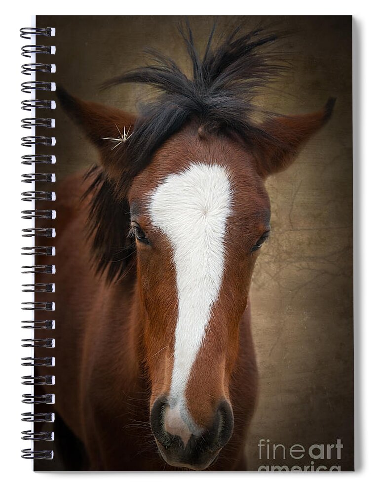 Horse Spiral Notebook featuring the photograph Monday Blues by Lisa Manifold