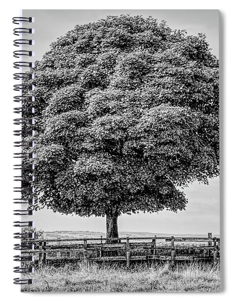 Monochrome Spiral Notebook featuring the photograph Monochrome tree in Heywood Gtr Manchester, UK by Pics By Tony