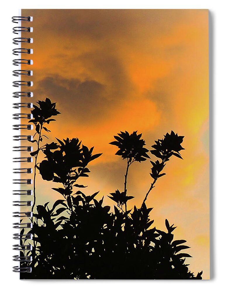 Silhouette Spiral Notebook featuring the photograph Monsoon Sunset by Grey Coopre