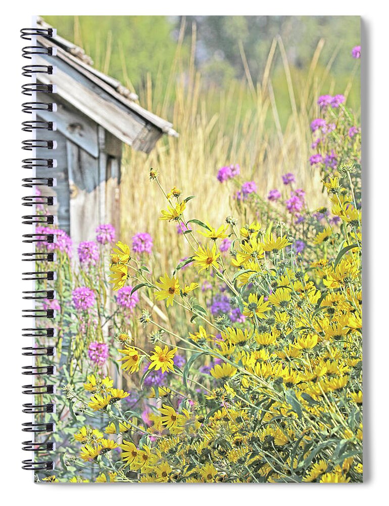 Wildflowers Compass Plant Spiral Notebook featuring the photograph Montana's Summer Flowers by Jennie Marie Schell