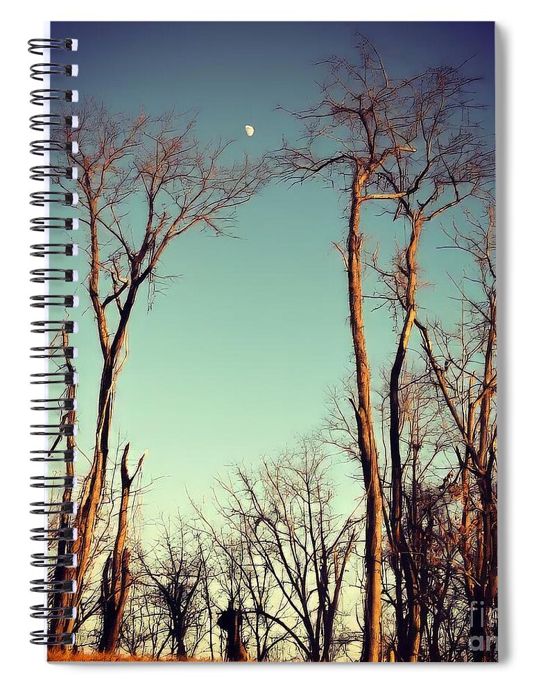Moon Spiral Notebook featuring the photograph Moon Between The Trees by Kerri Farley