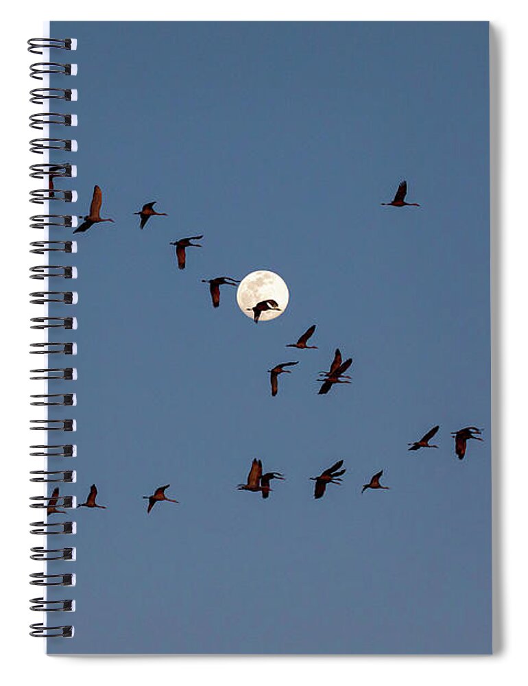 Nature Spiral Notebook featuring the photograph Moon V by Steve Templeton