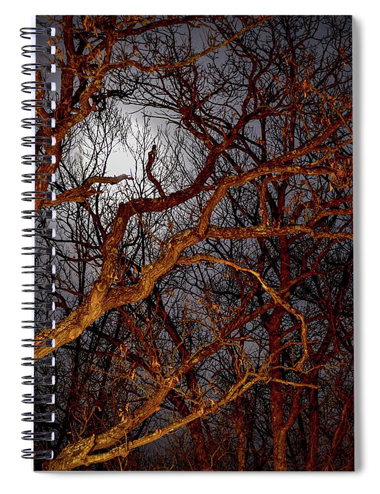 Full Moon Spiral Notebook featuring the photograph Moonshine by Susie Loechler