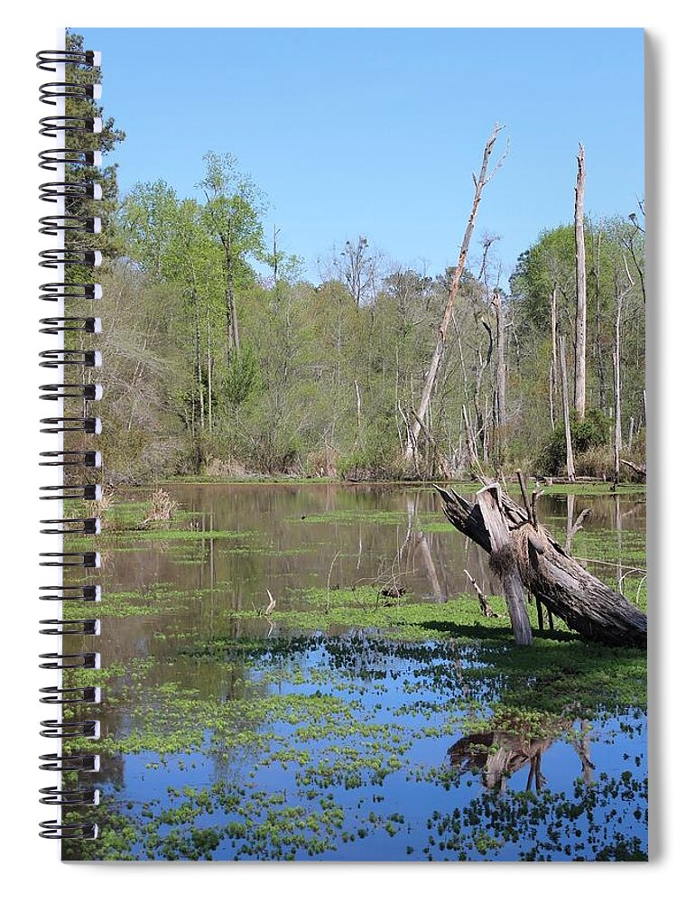 Swamp Spiral Notebook featuring the photograph More Than Meets the Eye by Lee Darnell