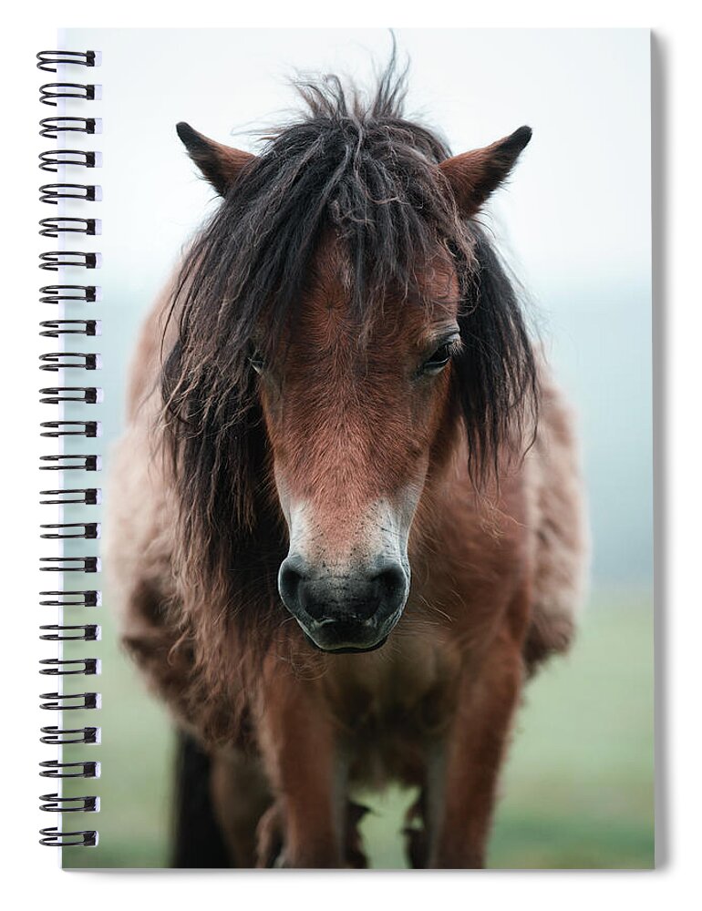 Photographs Spiral Notebook featuring the photograph Morning Already - Horse Art by Lisa Saint