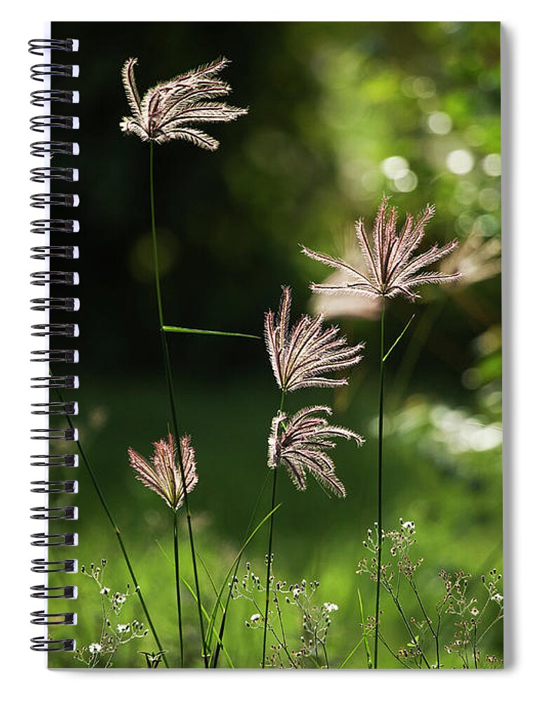Bakkie Spiral Notebook featuring the photograph Morning Delight by Phil Marty