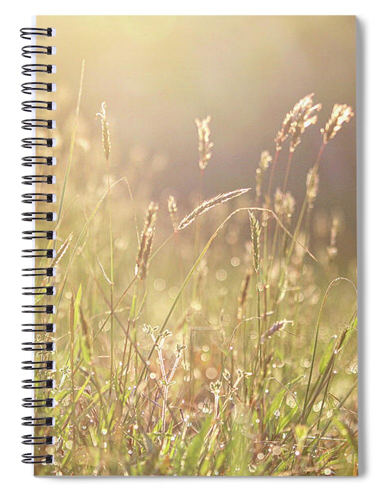 Meadow Spiral Notebook featuring the photograph Morning Dew by Alyssa Tumale