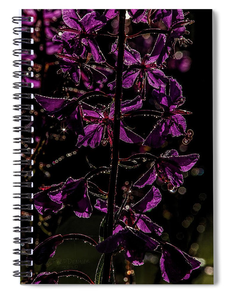 Fireweed Spiral Notebook featuring the photograph Morning Dew by Fred Denner