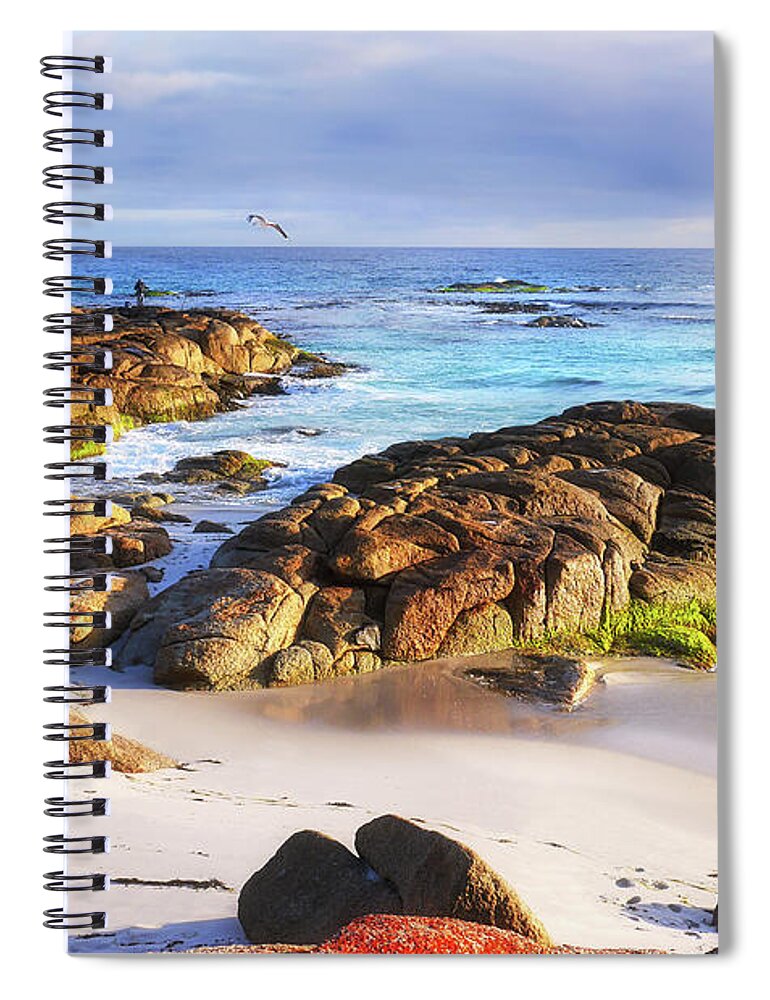 Tantalising Spiral Notebook featuring the photograph Morning Fishing - Bay of Fires by Lexa Harpell