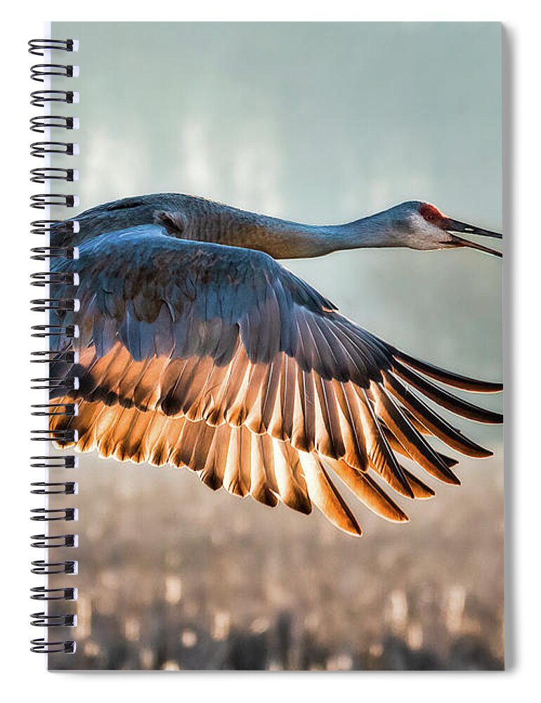Crane Spiral Notebook featuring the photograph Morning Flight by Brad Bellisle