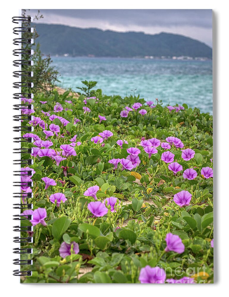 Beach Morning Glory Spiral Notebook featuring the photograph Morning Glory by Rebecca Caroline Photography